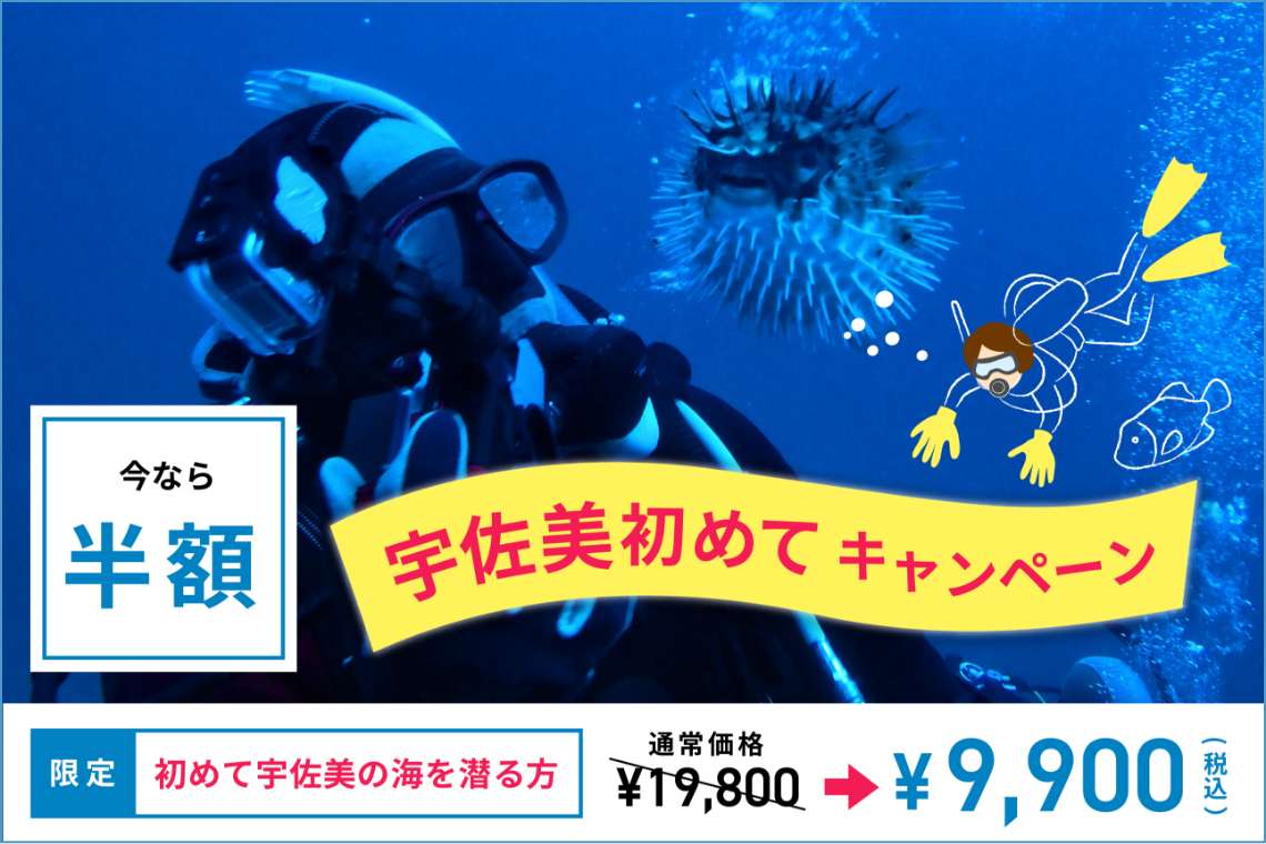 初めて宇佐美の海を潜る方に！<br>初♡体験キャンペーン！
