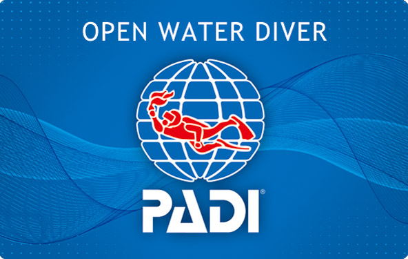 PADIオープンウォーター・ダイバーコース