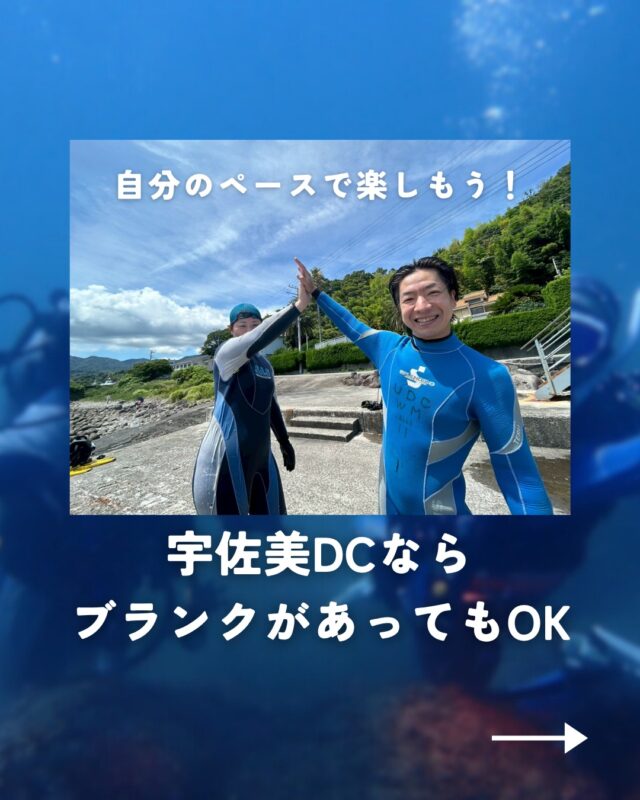てるてる‼️宇佐美ダイビングチケット10枚 HOME | MSO Diving – 宇佐美のダイビング専門店、ホームゲレンデ