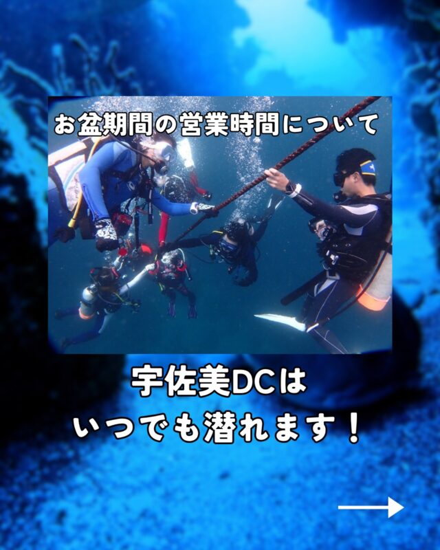 てるてる‼️宇佐美ダイビングチケット10枚 HOME | MSO Diving – 宇佐美のダイビング専門店、ホームゲレンデ