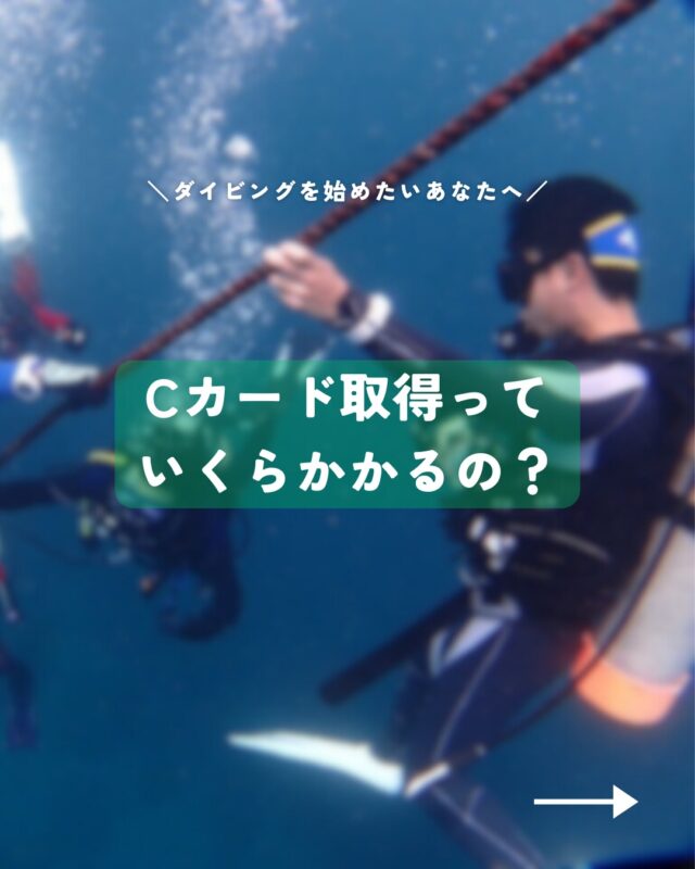 HOME | MSO Diving – 宇佐美のダイビング専門店、ホームゲレンデ