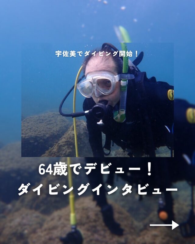 HOME | MSO Diving – 宇佐美のダイビング専門店、ホームゲレンデ