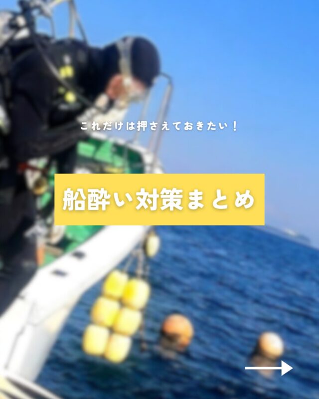 HOME | MSO Diving – 宇佐美のダイビング専門店、ホームゲレンデ