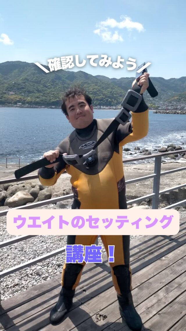 HOME | MSO Diving – 宇佐美のダイビング専門店、ホームゲレンデ