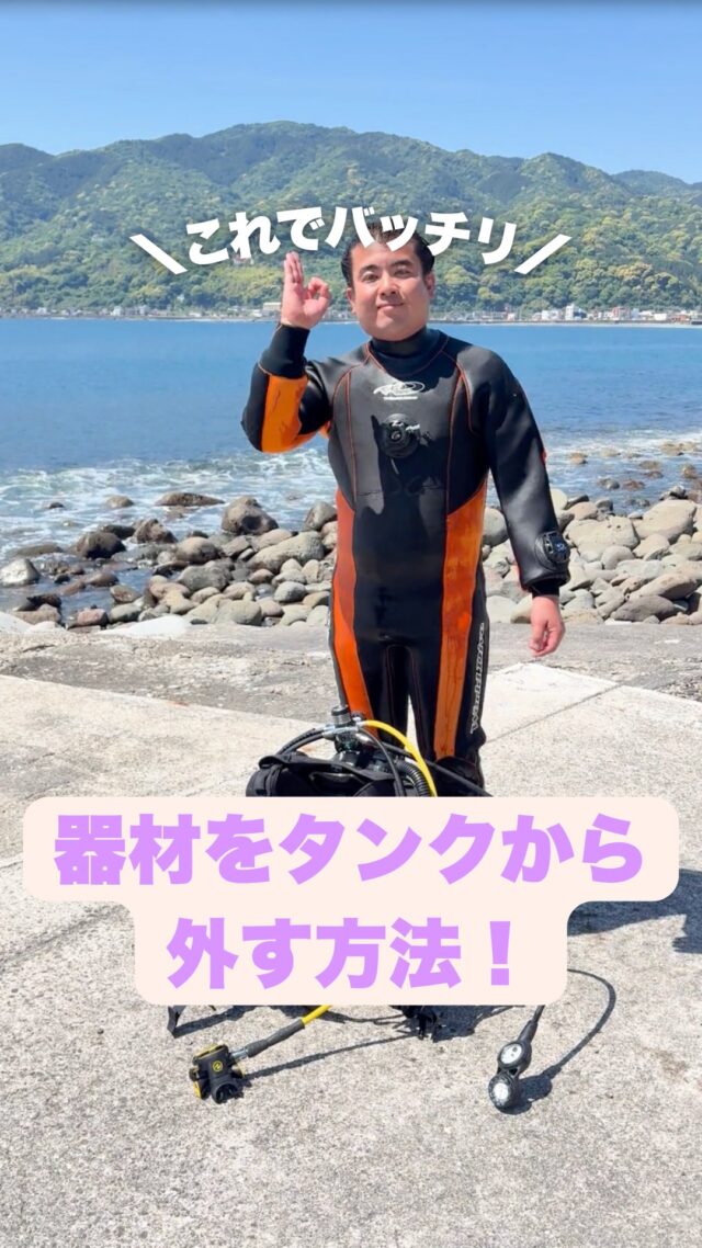 HOME | MSO Diving – 宇佐美のダイビング専門店、ホームゲレンデ