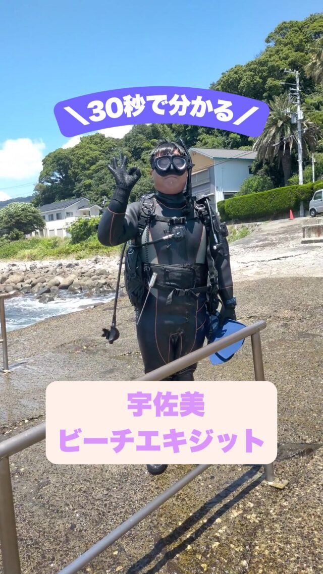 HOME | MSO Diving – 宇佐美のダイビング専門店、ホームゲレンデ